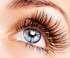 Eyebrow and Eyelash Tinting in Manchester
